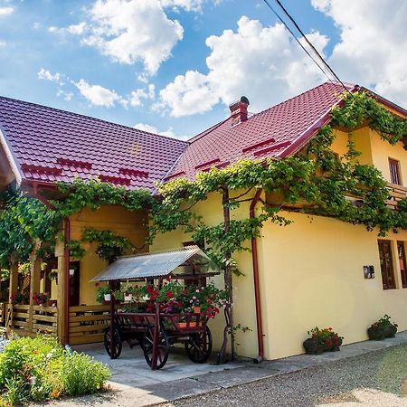 Casa Andreea Hotel Sucevita Buitenkant foto