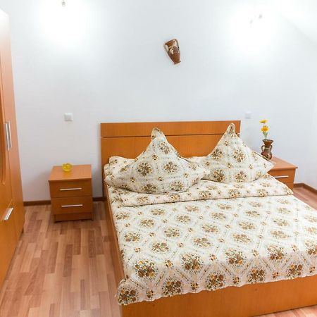 Casa Andreea Hotel Sucevita Buitenkant foto