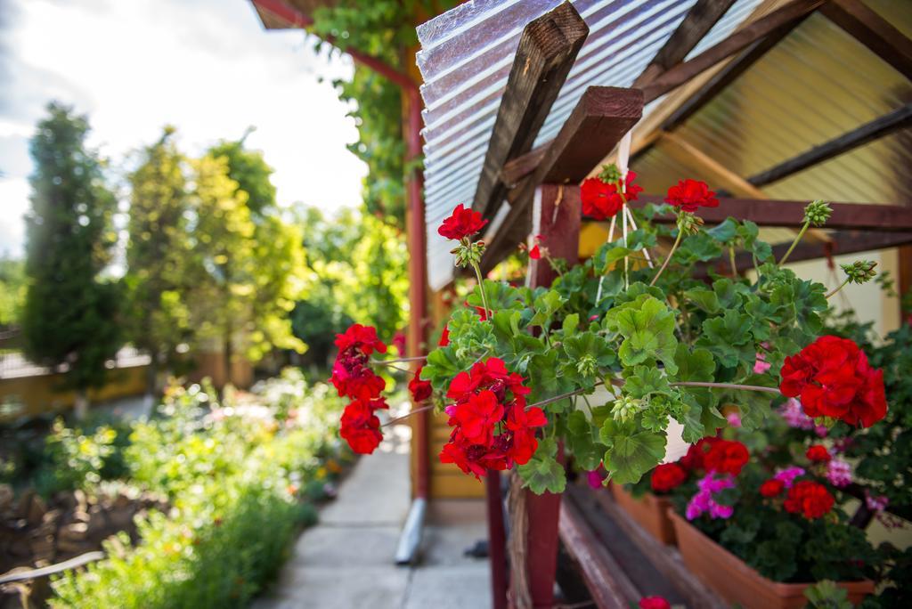 Casa Andreea Hotel Sucevita Buitenkant foto