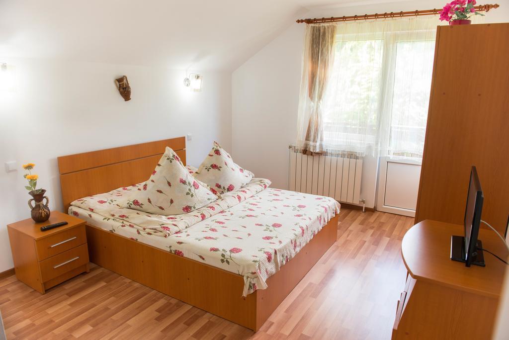 Casa Andreea Hotel Sucevita Buitenkant foto
