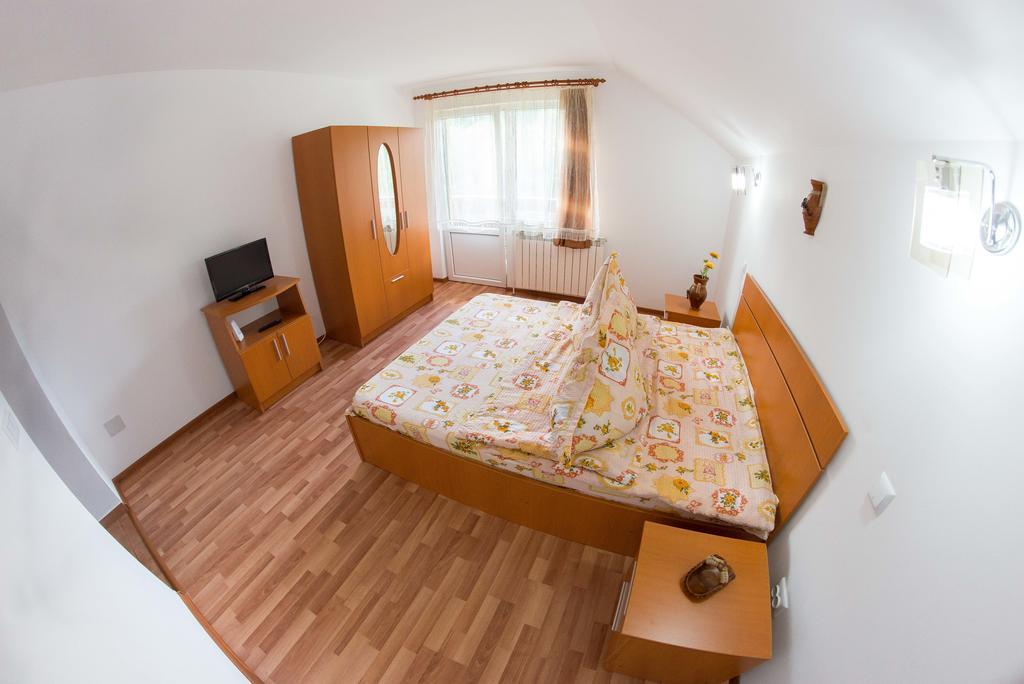 Casa Andreea Hotel Sucevita Buitenkant foto