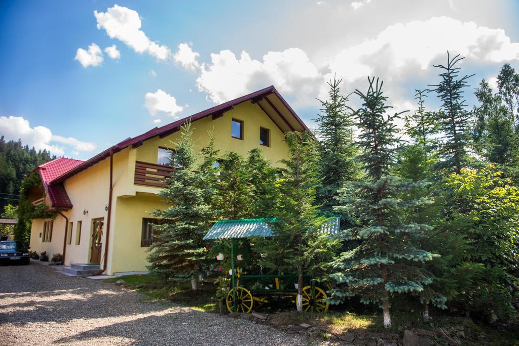 Casa Andreea Hotel Sucevita Buitenkant foto