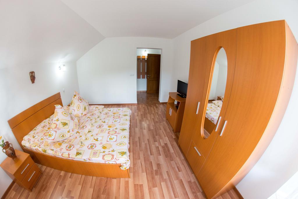 Casa Andreea Hotel Sucevita Buitenkant foto