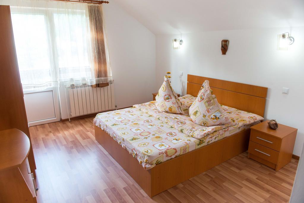 Casa Andreea Hotel Sucevita Buitenkant foto