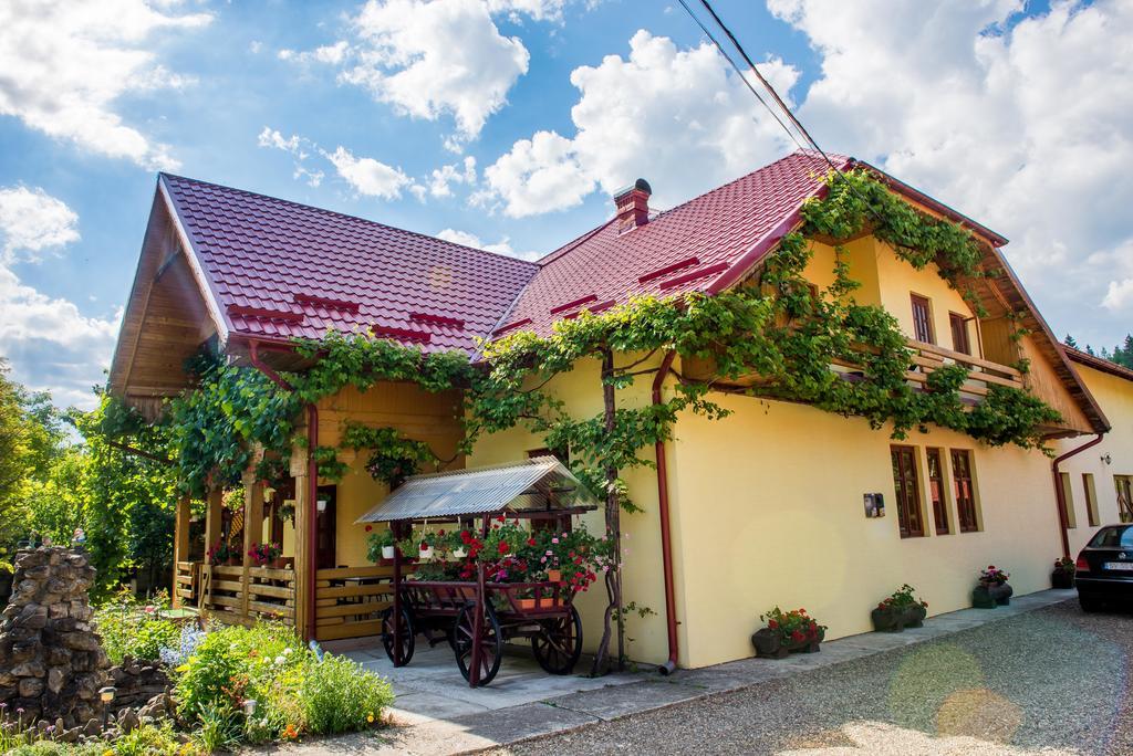 Casa Andreea Hotel Sucevita Buitenkant foto