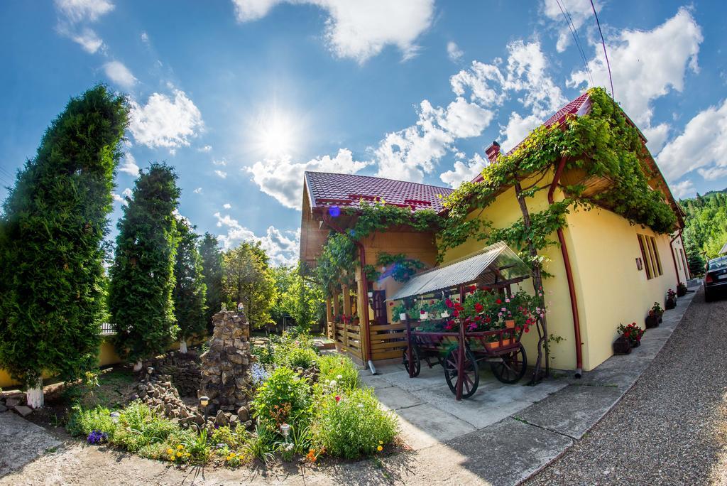 Casa Andreea Hotel Sucevita Buitenkant foto